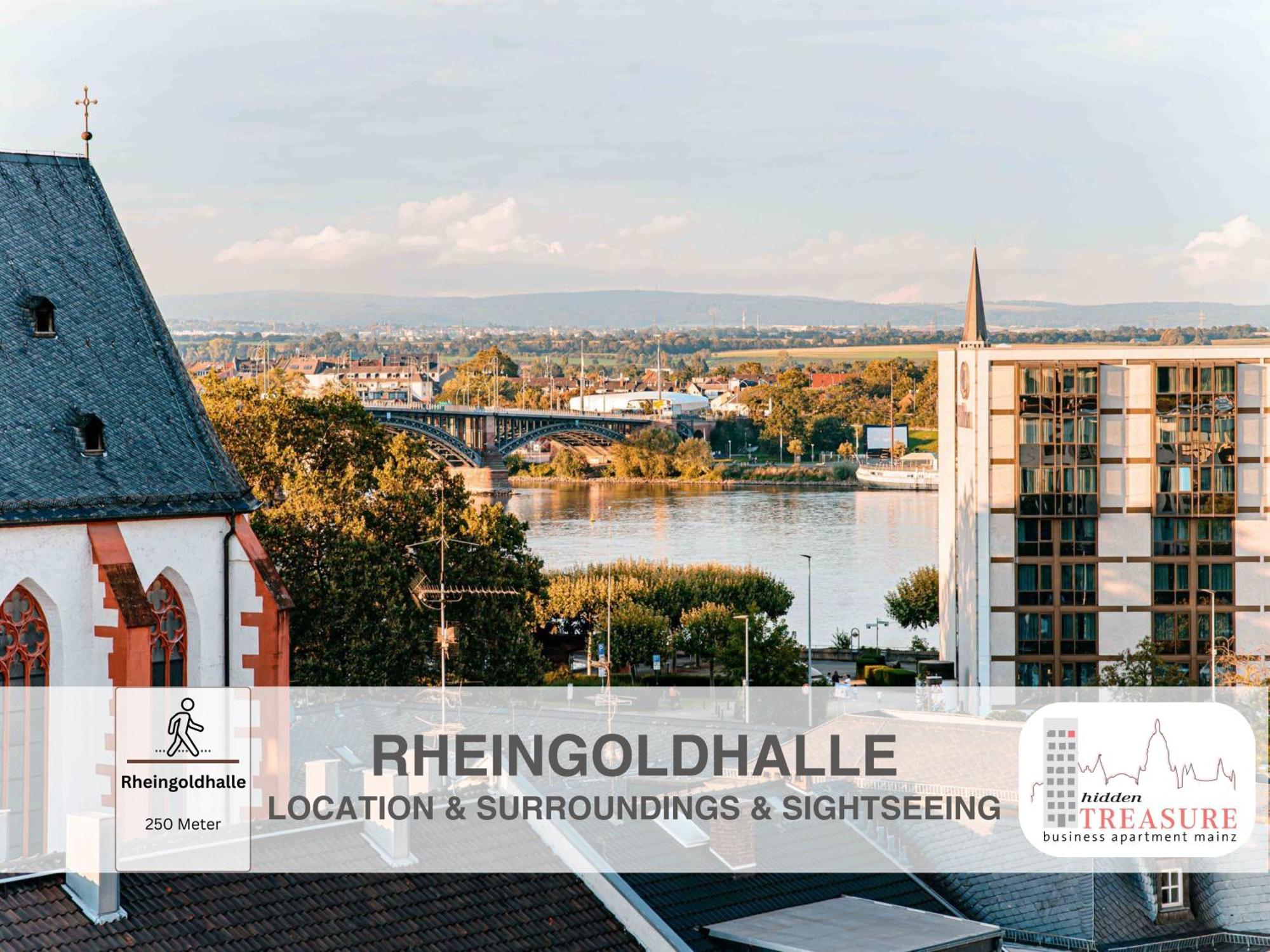 Hidden Treasure Business Apartment Mainz - Fantastic Rhine View In Center Of Mainz Old Town Exterior foto